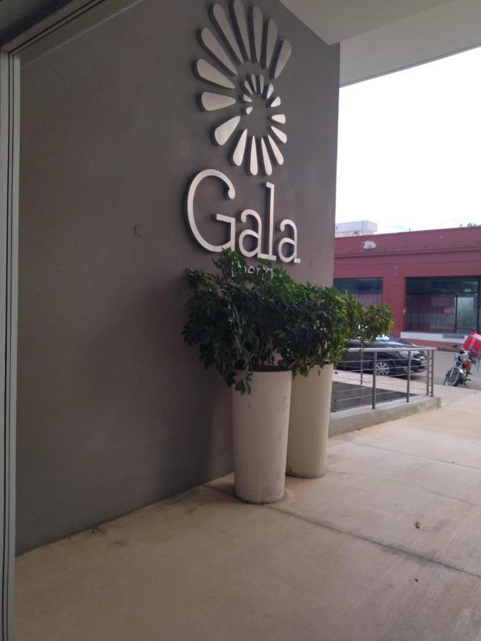 Gala Puerto, 209 - Punta Del